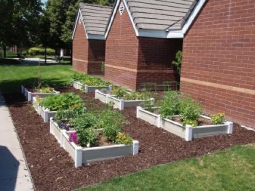 Как сделать ограждение для грядок своими руками. Чем можно огородить высокие грядки 14