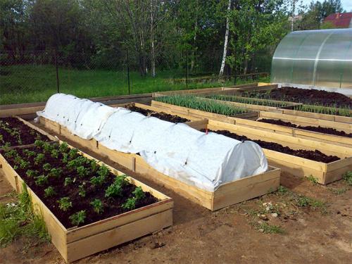 Из чего сделать грядки. Делаем ограждения вокруг грядок из различных материалов