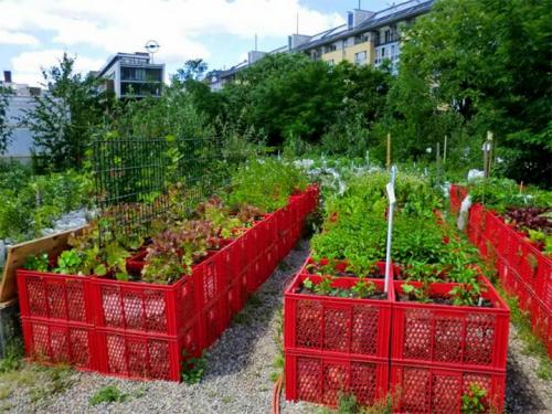 Из чего сделать грядки. Делаем ограждения вокруг грядок из различных материалов