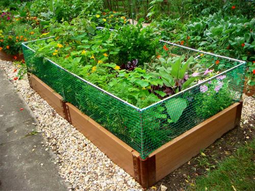 Ограждение для грядок из подручных материалов. Делаем ограждения вокруг грядок из различных материалов