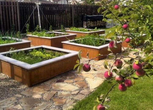 Грядки без ограждения. Ленивые грядки: фото и базовая информация для начинающих дачников