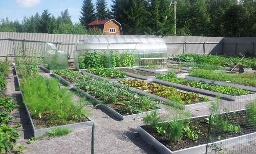 Как сделать умные грядки своими руками.. Содержание 07