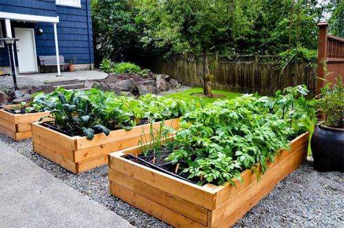 Ограждение для грядок из подручных материалов. Делаем ограждения вокруг грядок из различных материалов