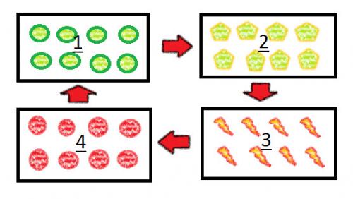 Как правильно разбить огород. Схема посадки овощей, севооборот, описание