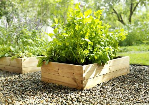 Как красиво расположить грядки в огороде. Как организовать грядки на даче