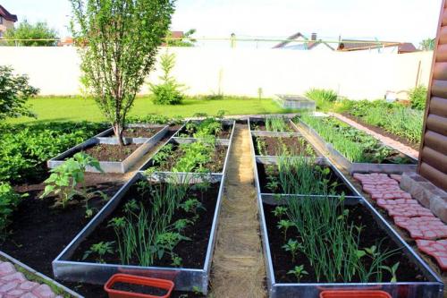 Как красиво расположить грядки в огороде. Как организовать грядки на даче