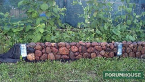 Лайфхаки для грядок. Бюджетные декоративно-функциональные ограждения для цветников и грядок