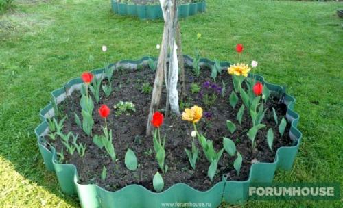 Лайфхаки для грядок. Бюджетные декоративно-функциональные ограждения для цветников и грядок