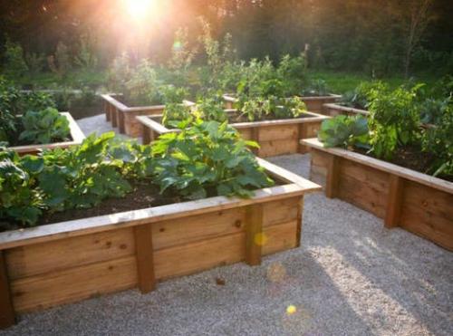 Три способа изготовления высоких грядок. Особенности высоких грядок: плюсы и минусы конструкций 08