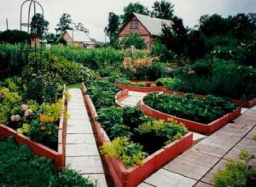 Высокие грядки из пластика. Виды пластмассовых грядок