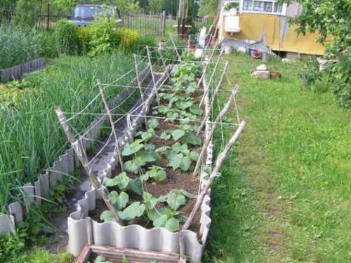 Три способа изготовления высоких грядок. Особенности высоких грядок: плюсы и минусы конструкций 12