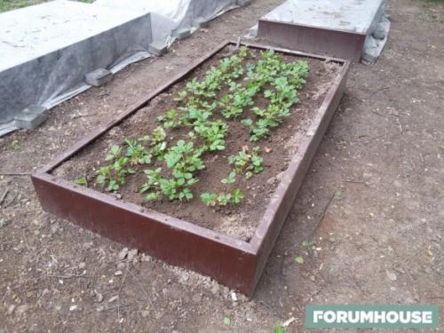 Как сделать грядки из досок. Из чего сделать короб теплой грядки