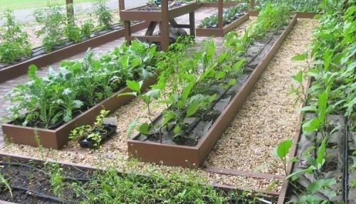 Как сделать правильные грядки на огороде. Декоративный огород: идеи и схемы Огород сегодня — это не только источник овощей, но и элемент дизайна загородного участка. Статья 06 Как сделать правильные грядки на огороде. Декоративный огород: идеи и схемы Огород сегодня — это не только источник овощей, но и элемент дизайна загородного участка. Статья 06