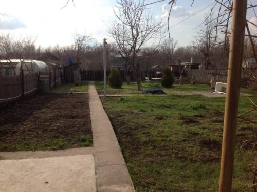 Как привести в порядок заброшенный участок. Как привести в порядок заброшенный дачный участок