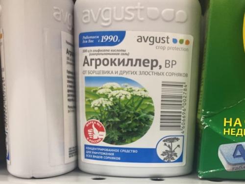 Как привести в порядок заброшенный участок. Как привести в порядок заброшенный дачный участок
