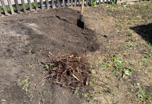 Как привести в порядок заброшенный участок. Как привести в порядок заброшенный дачный участок