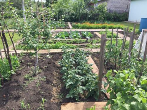 Как привести в порядок заброшенный участок. Как привести в порядок заброшенный дачный участок