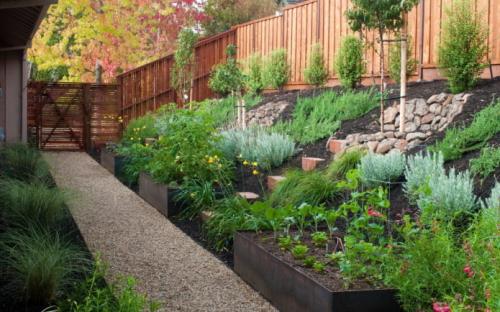 Как расположить грядки на огороде на участке по сторонам света. Планировка огорода с учётом сторон света и степени освещённости 07 Как расположить грядки на огороде на участке по сторонам света. Планировка огорода с учётом сторон света и степени освещённости 07