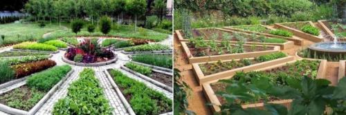 Посадка растений по сторонам света. Расположение грядок