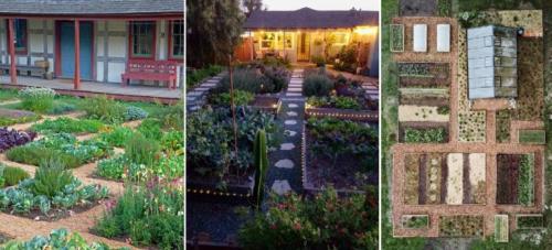 Посадка растений по сторонам света. Расположение грядок