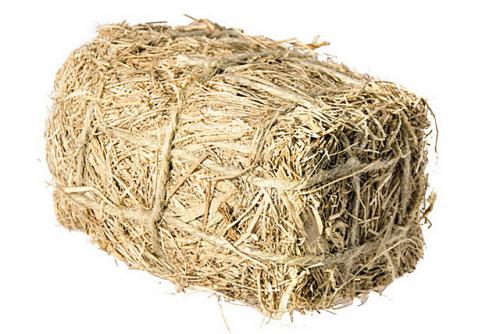 Что важно знать про арболит: основные характеристики и преимущества 13