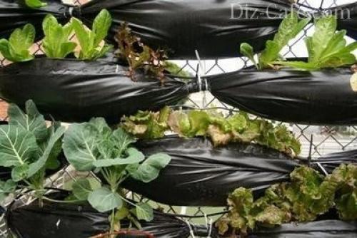 Как сделать вертикальную грядку своими руками. Здравствуйте. 01 Как сделать вертикальную грядку своими руками. Здравствуйте. 01