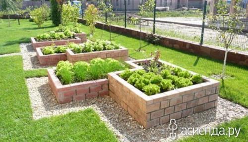 Чем засыпать грядки. 10 советов для высоких грядок