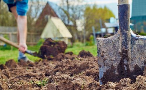 Как правильно подготовить грядки для посадки весной. Подготовка огорода к посадке: перекопка почвы в весенний период 05 Как правильно подготовить грядки для посадки весной. Подготовка огорода к посадке: перекопка почвы в весенний период 05
