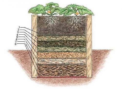 Постоянные грядки на огороде. Конструкция теплой грядки