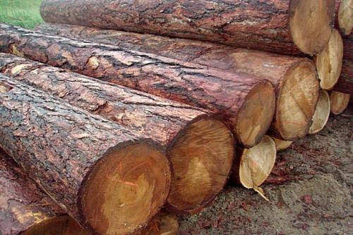 Клееный брус для дома, какой выбрать. Как выбрать качественный клееный брус? 05 Клееный брус для дома, какой выбрать. Как выбрать качественный клееный брус? 05