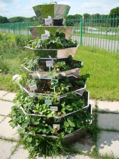 Как сделать красивые грядки на даче своими руками. Оформляем красивые грядки на даче и огороде своими руками