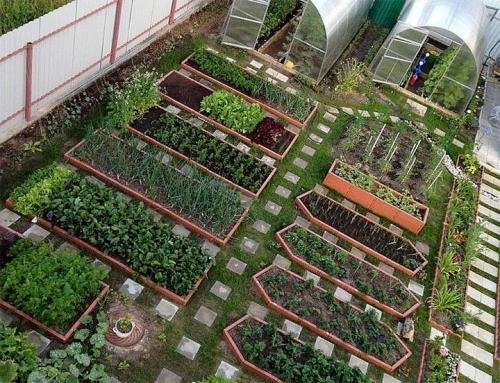 Грядки из стекла. Делаем ограждения вокруг грядок из различных материалов