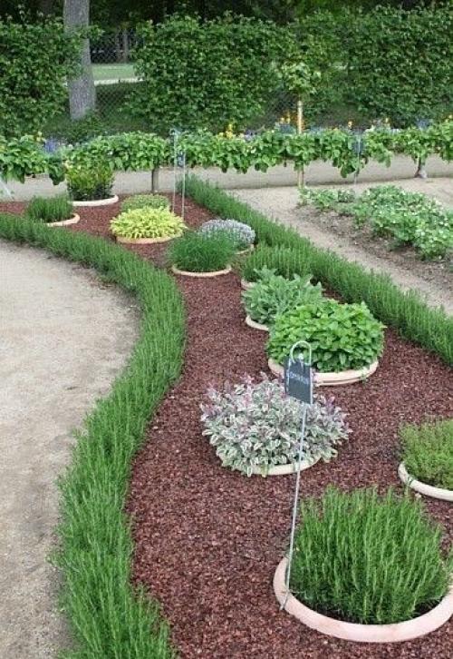 Как сделать красивые грядки на даче своими руками. Оформляем красивые грядки на даче и огороде своими руками