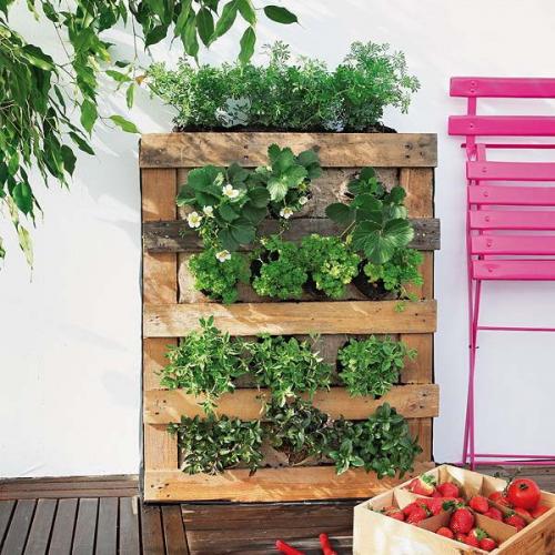 Как сделать красивые грядки на даче своими руками. Оформляем красивые грядки на даче и огороде своими руками