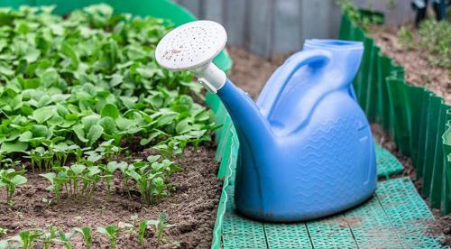 Как сделать грядки на даче своими руками. Как сделать высокую грядку на даче своими руками 07