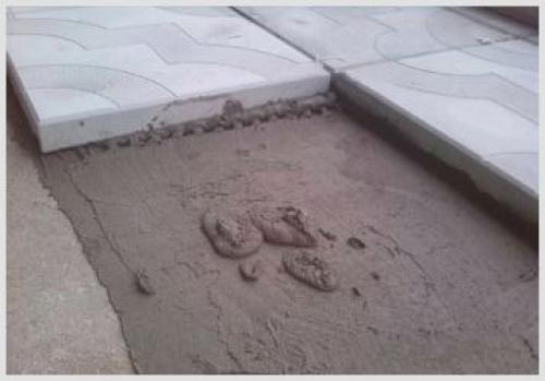 Дорожка из тротуарной плитки на даче. Все, что нужно знать про укладку тротуарной плитки в саду 04