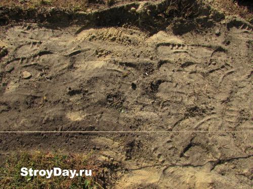 Устройство садовых дорожек из тротуарной плитки. Как уложить самодельную тротуарную плитку на даче: пошаговая инструкция