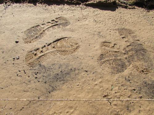 Устройство садовых дорожек из тротуарной плитки. Как уложить самодельную тротуарную плитку на даче: пошаговая инструкция