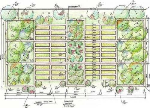 Как сделать грядки из земли. Планируем огород