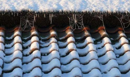 Виды кровли: как выбрать подходящий кровельный материал 10