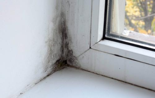 Как утеплить пластиковые окна снаружи. Конденсат на окнах и плесень на откосах: причины и решение проблемы