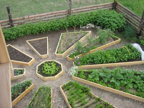 Грядки для огорода. Как устроить красивый огород в частном доме с грядками (29 фото)