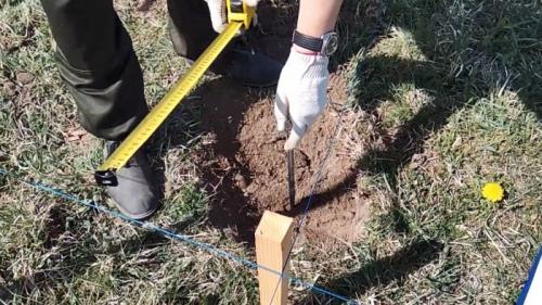 Фундамент на сваях своими руками. Процесс заливки свай