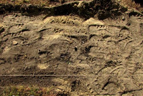 Укладка тротуарной плитки 30 на 30 на песок. Вариант 1: на песчаной основе