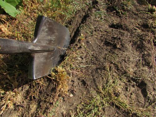 Как уложить тротуарную плитку на землю. Как уложить самодельную тротуарную плитку на даче: пошаговая инструкция