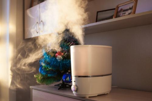 Что сушит воздух в квартире. Сухо, словно в пустыне. Как зимой наладить микроклимат в квартире