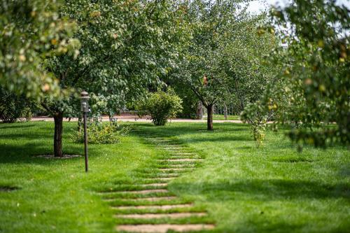 Как вы организуете уход за своей дачей и ее территорией. Уход за садом