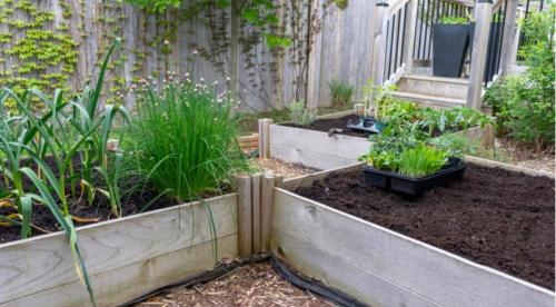 Как сделать теплые грядки весной своими руками. Как сделать теплые грядки своими руками. Разные типы грядок 17