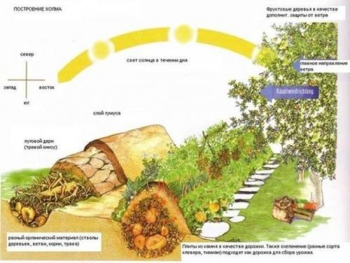 Теплые грядки своими руками: пошаговое изготовление. (+58 фото) Как изготовить теплые грядки своими руками