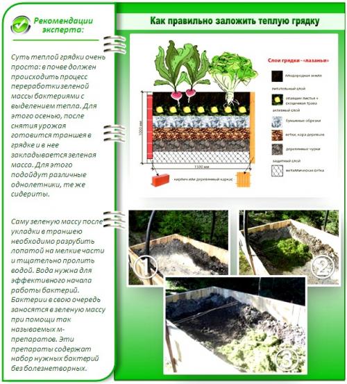 Теплые грядки в теплице. Вариант #3 – греем почву природным методом